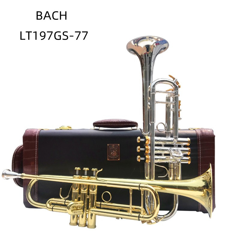 Vincent Bach LT197GS-77 Bb Sma - Musical Instrument Piccolo 리뷰 및 가격