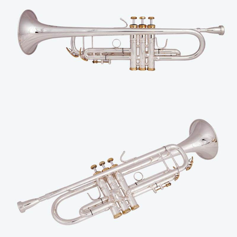 Vincent Bach LT197GS-77 Bb Sma - Musical Instrument Piccolo 리뷰 및 가격
