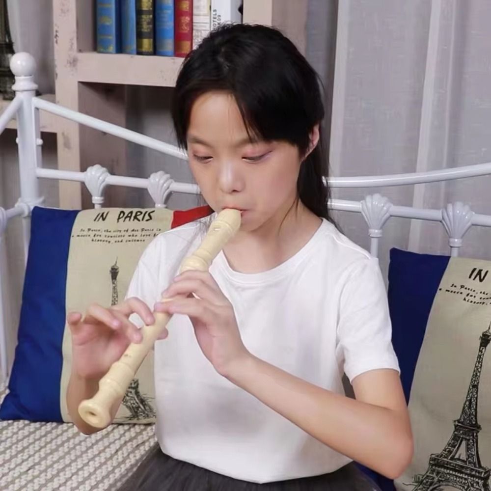 Easy Adjustable Soprano Record - Recorder Baroque Style 리뷰 및 가격