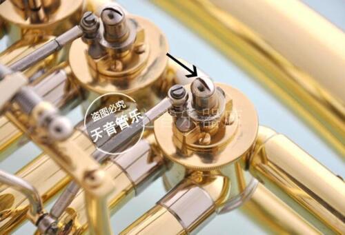 50 pcs New French Horn Euphoni - Musical Instrument Euphonium 리뷰 및 가격
