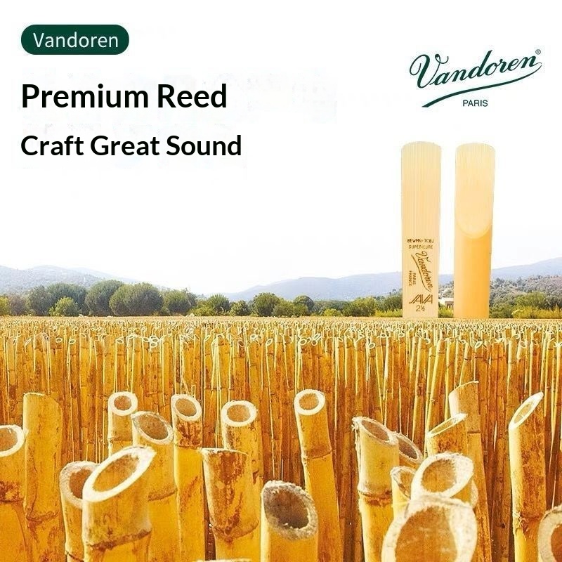 Hot Sales Vandoren Green Box A - Musical Instrument Euphonium 리뷰 및 가격