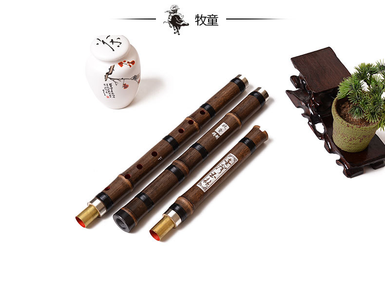 Chinese Bamboo Flauta Xiao Ver - Recorder Baroque Style 리뷰 및 가격