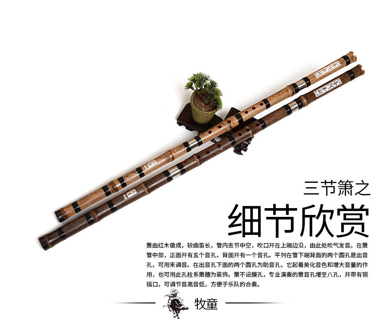 Chinese Bamboo Flauta Xiao Ver - Recorder Baroque Style 리뷰 및 가격