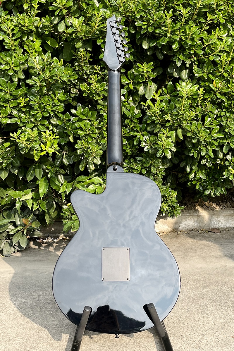 Acoustic Electric Guitar With  - Musical Instrument Logo 리뷰 및 가격