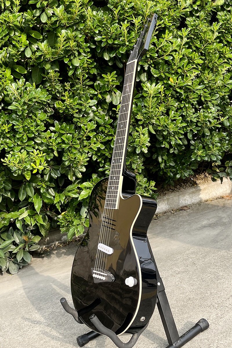 Acoustic Electric Guitar With  - Musical Instrument Logo 리뷰 및 가격