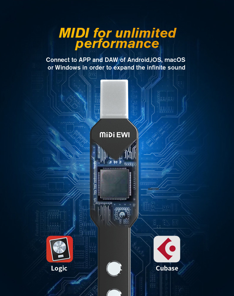 upgrade Mini Digital Electroni - Musical Instrument Euphonium 리뷰 및 가격