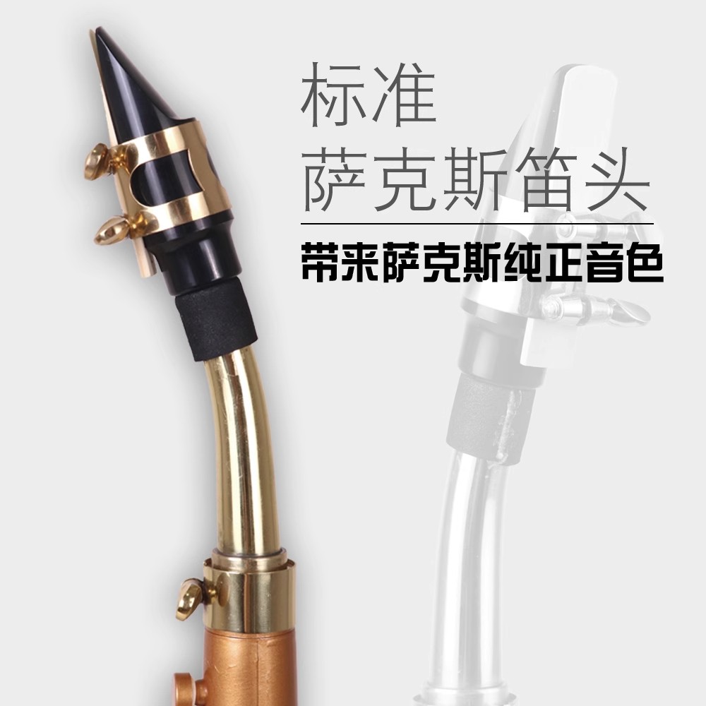 Saxophone Littlesax Pocket Sax - Musical Instrument Euphonium 리뷰 및 가격