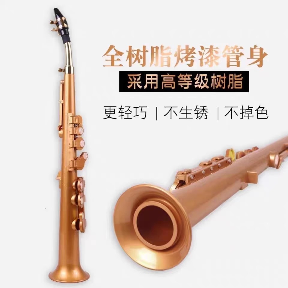 Saxophone Littlesax Pocket Sax - Musical Instrument Euphonium 리뷰 및 가격