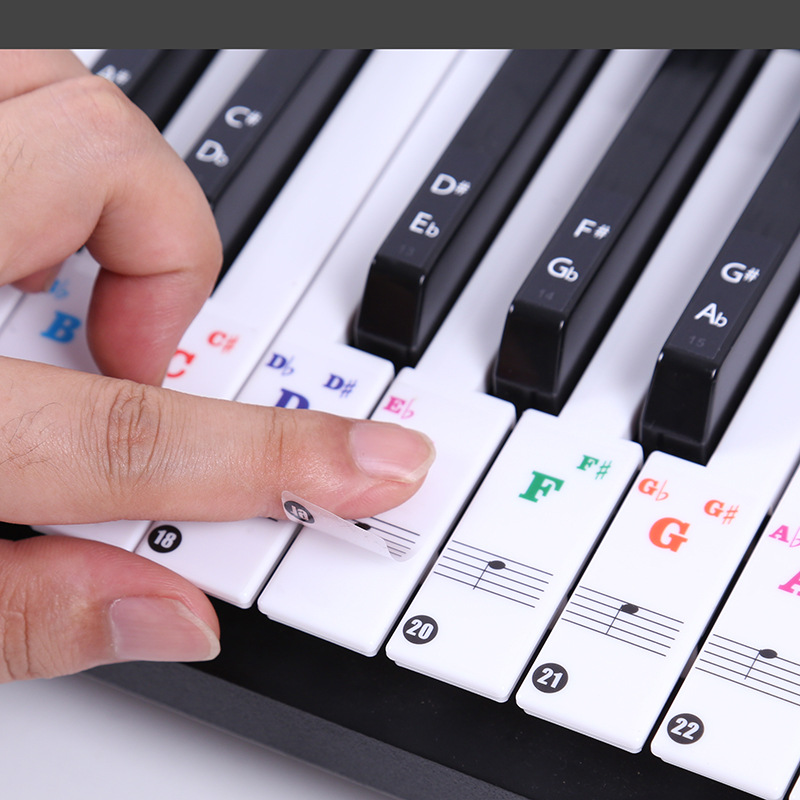 Transparent Piano Keyboard Sti - Musical Instrument Symbols 리뷰 및 가격