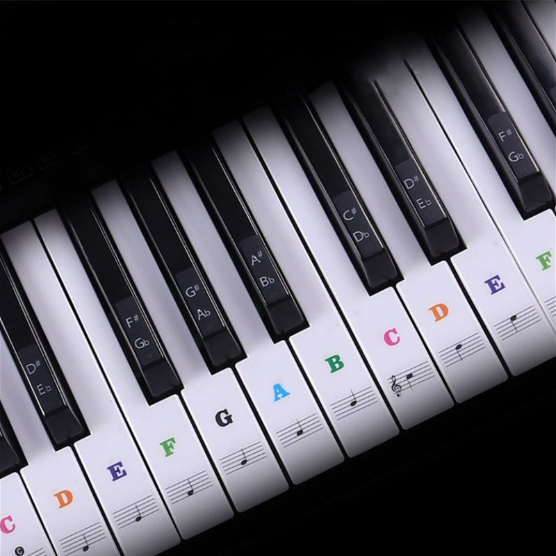 Transparent Piano Keyboard Sti - Musical Instrument Symbols 리뷰 및 가격