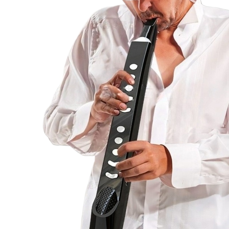 Portable Electric Saxophone Sm - Musical Instrument Euphonium 리뷰 및 가격