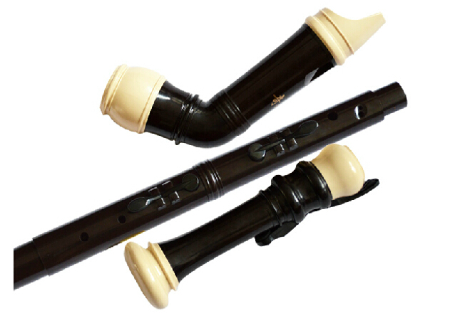 Professional 8 Holes Baroque B - Recorder Baroque Style 리뷰 및 가격