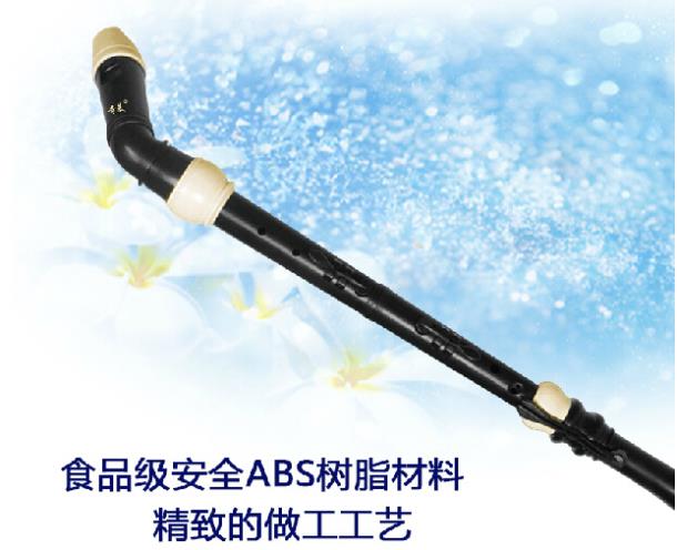 Professional 8 Holes Baroque B - Recorder Baroque Style 리뷰 및 가격