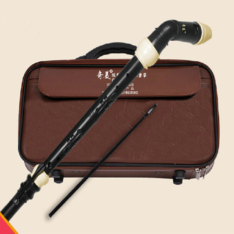 Professional 8 Holes Baroque B - Recorder Baroque Style 리뷰 및 가격