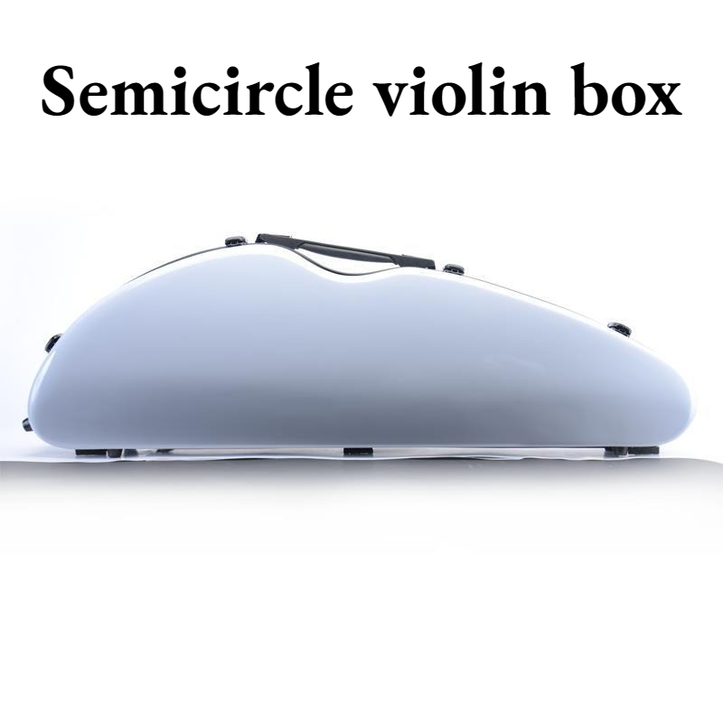 4/4 Carbon Fiber Violin Box Li - Musical Instrument Box 리뷰 및 가격
