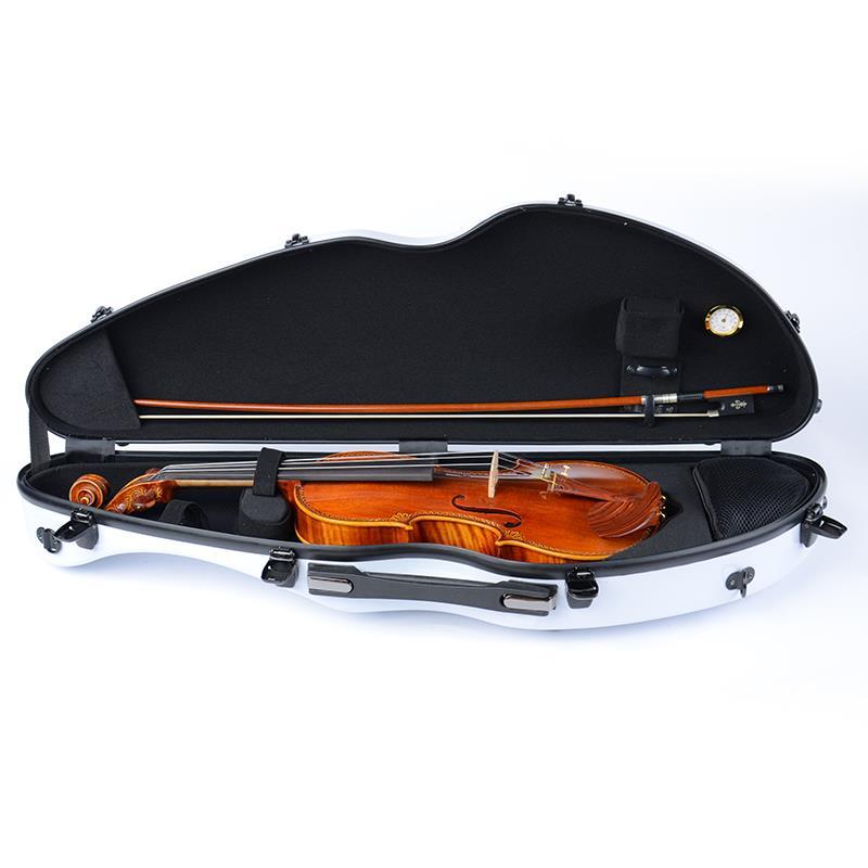 4/4 Carbon Fiber Violin Box Li - Musical Instrument Box 리뷰 및 가격