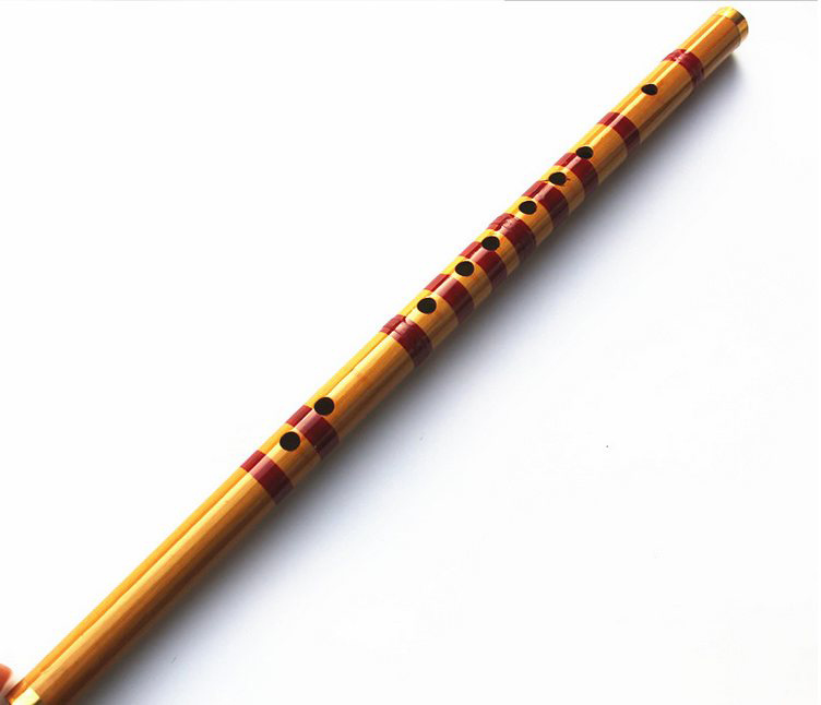 Children Learning Well Designe - Musical Instrument Piccolo 리뷰 및 가격