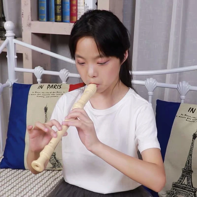 Professional Eight Hole High P - Recorder Baroque Style 리뷰 및 가격