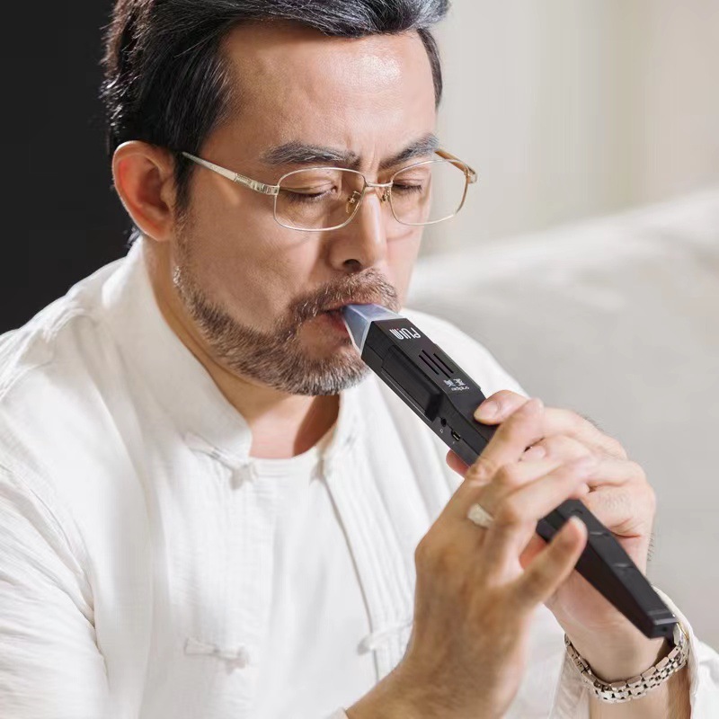 Pocket Saxophone Wind Instrume - Musical Instrument Euphonium 리뷰 및 가격