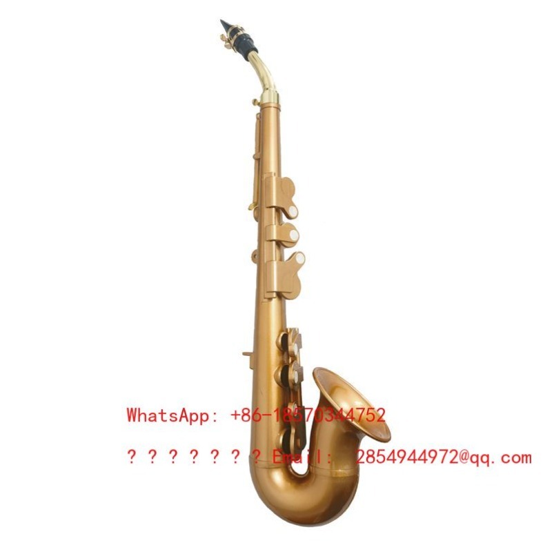 Resin Saxophone Musical Instru - Musical Instrument Easy To Learn For Adults 리뷰 및 가격