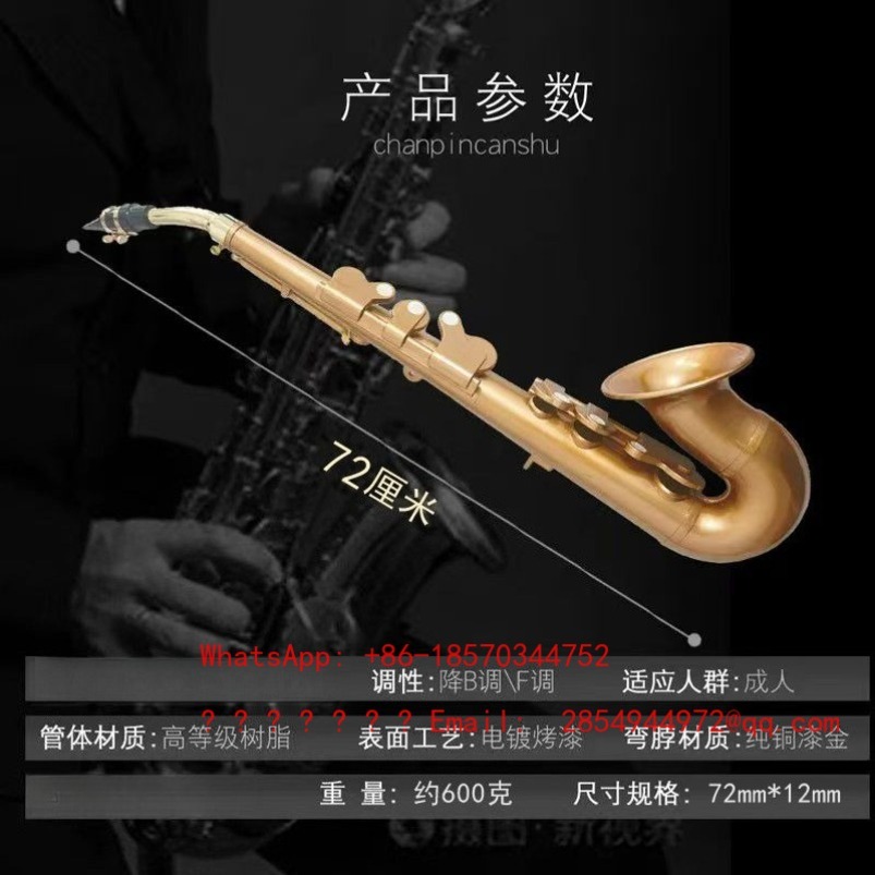 Resin Saxophone Musical Instru - Musical Instrument Easy To Learn For Adults 리뷰 및 가격