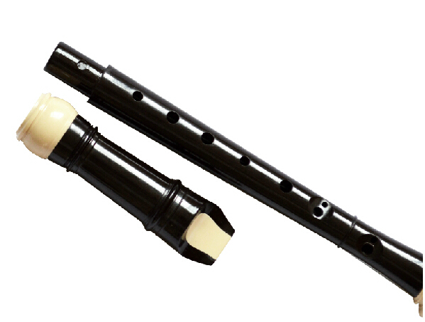 Baroque 8 Holes  Sopranino Pla - Recorder Baroque Style 리뷰 및 가격