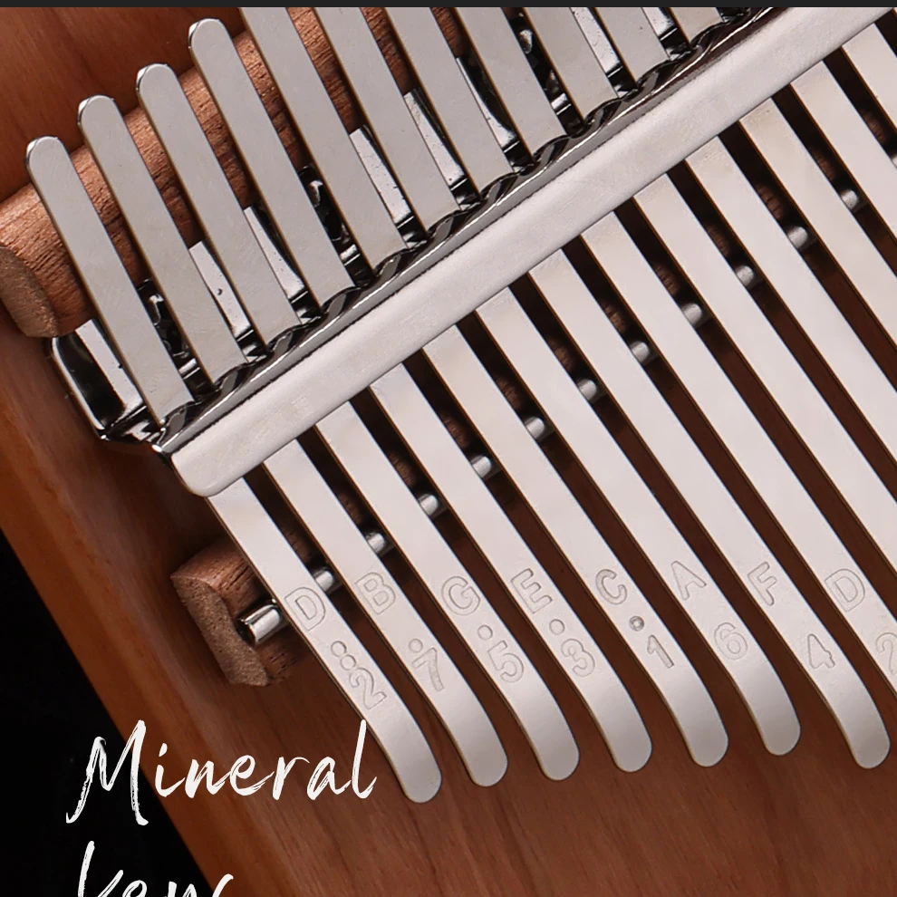 Hluru Professional 21 Key Waln - Musical Instrument Kit 리뷰 및 가격