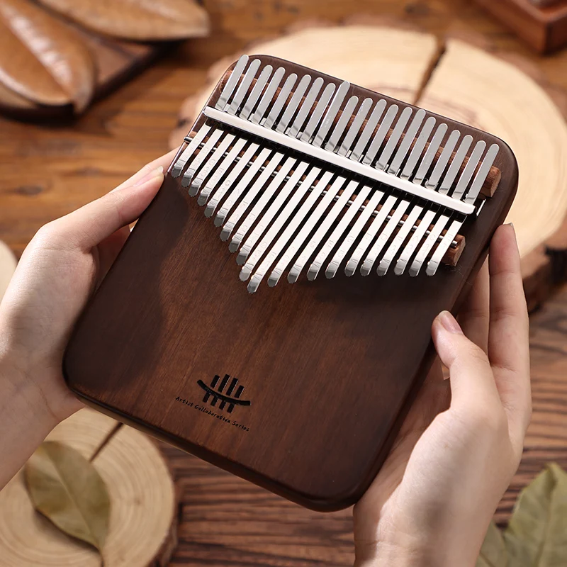 Hluru Professional 21 Key Waln - Musical Instrument Kit 리뷰 및 가격