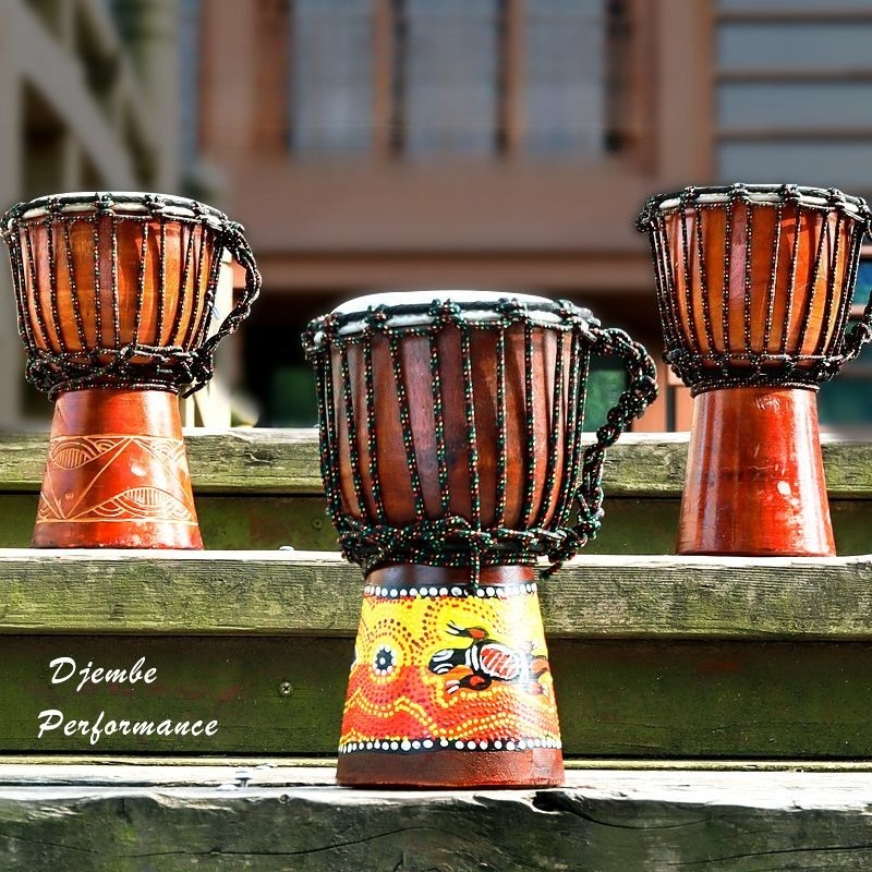 Children Beginner Small Africa - Musical Instrument Djembe 리뷰 및 가격