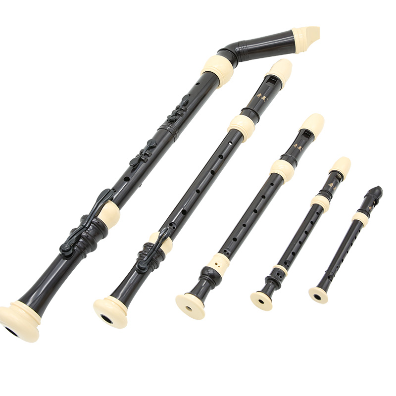 Professional Dizi Alto Recorde - Recorder Baroque Style 리뷰 및 가격