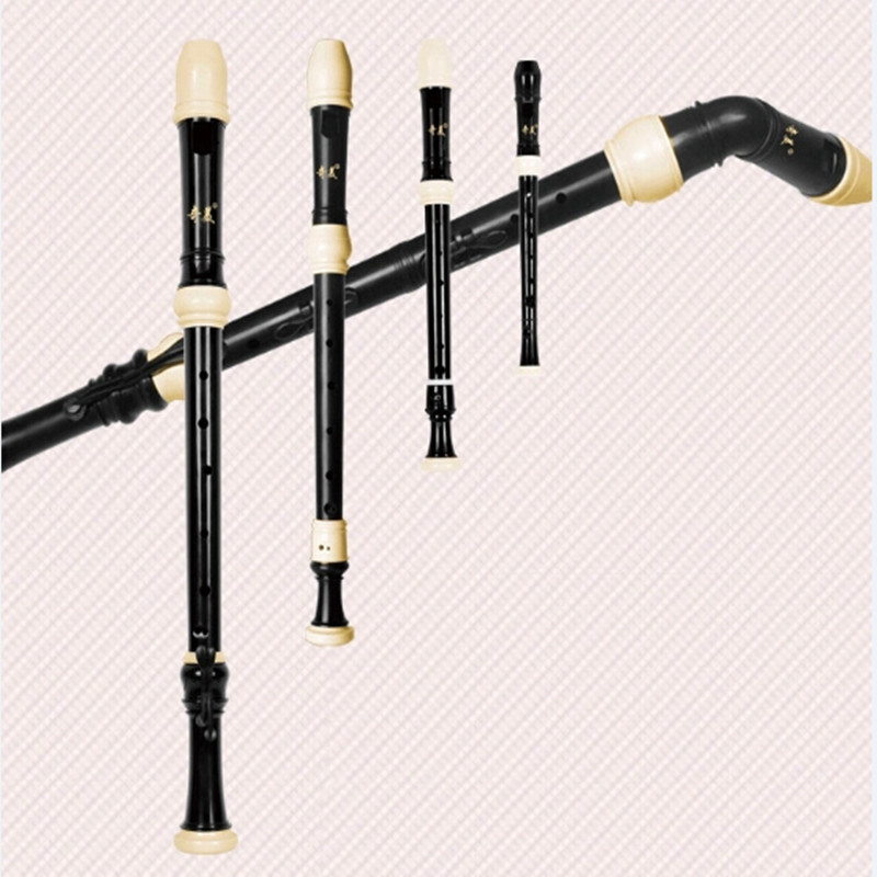 Professional Dizi Alto Recorde - Recorder Baroque Style 리뷰 및 가격