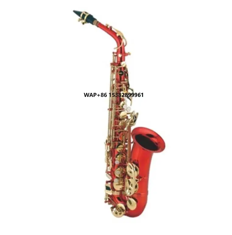 Red Colour Professional Alto S - Musical Instrument Logo 리뷰 및 가격