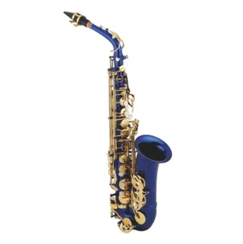 Red Colour Professional Alto S - Musical Instrument Logo 리뷰 및 가격