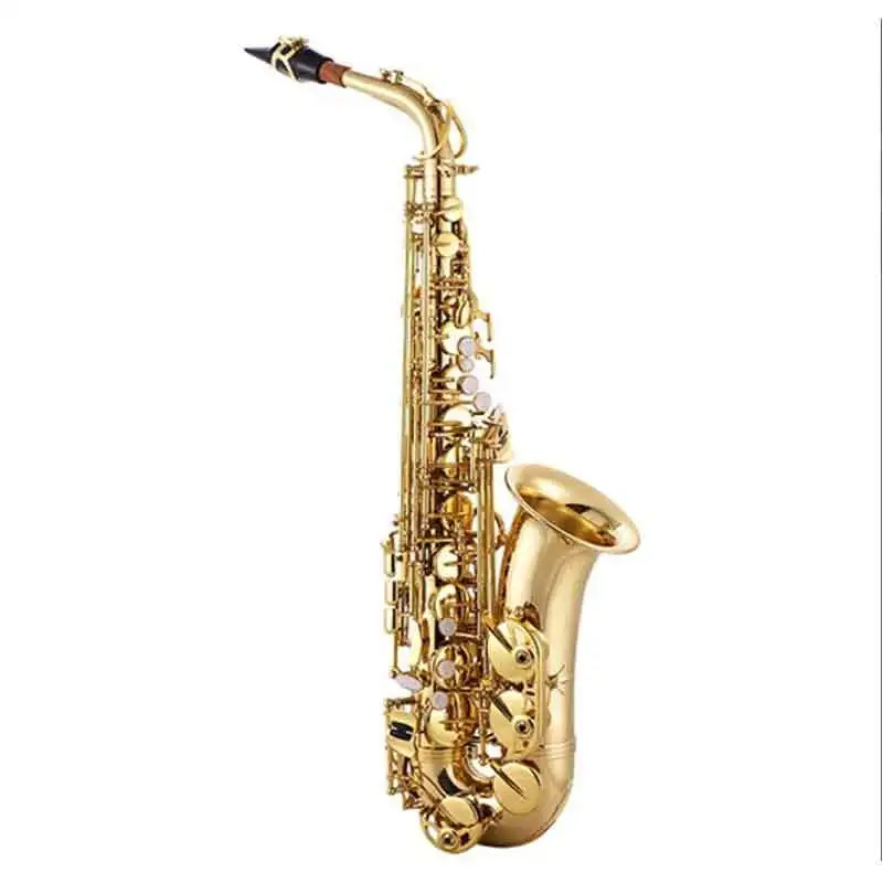 Red Colour Professional Alto S - Musical Instrument Logo 리뷰 및 가격