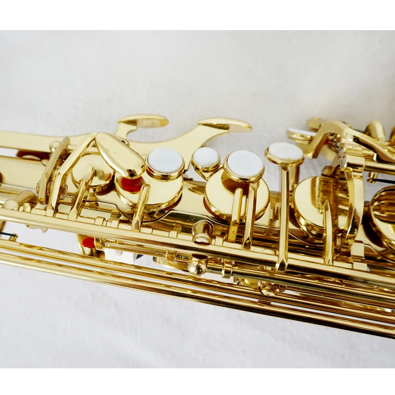 Red Colour Professional Alto S - Musical Instrument Logo 리뷰 및 가격